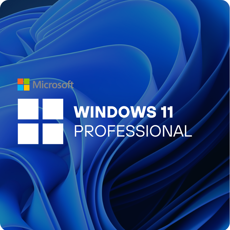Windows 11 Professional
